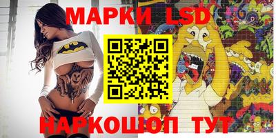 дмт Донской