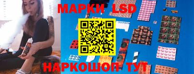 дмт Донской