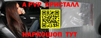 дмт Донской
