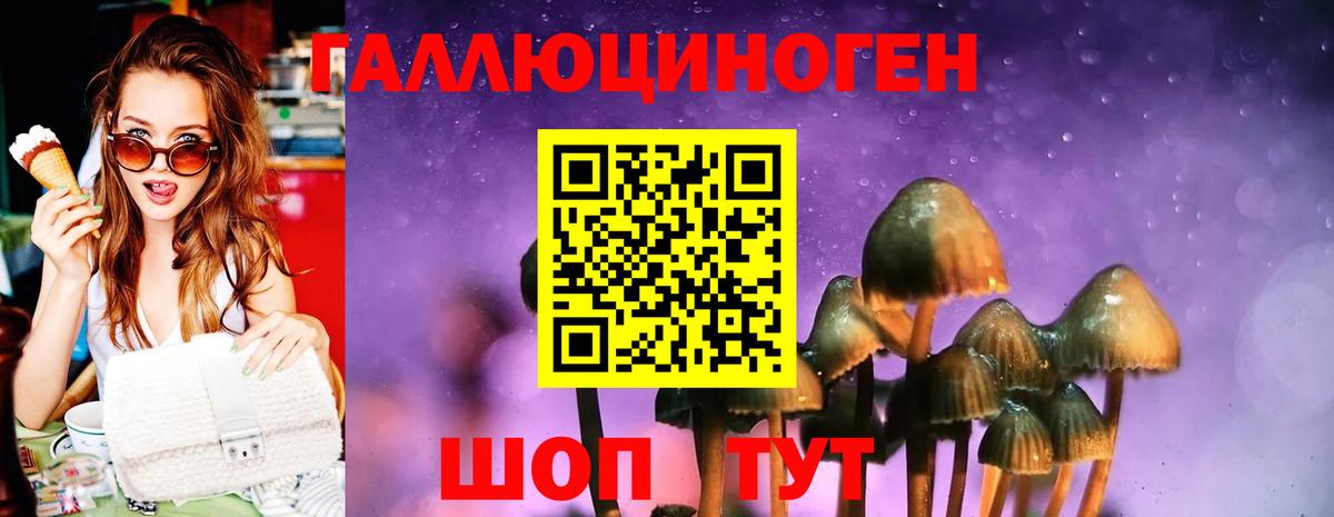 Галлюциногенные грибы GOLDEN TEACHER Жуковский